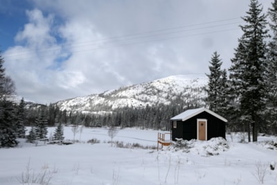 3. Sommerfjøs without toilet blocks
