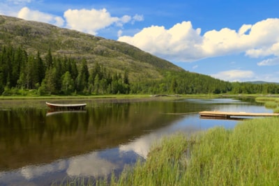 Velfjord Camping og Hytter