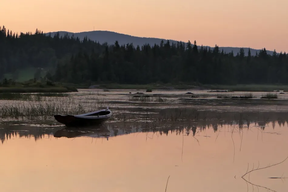 Velfjord Camping og Hytter