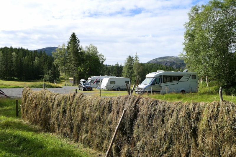 Standplaats + tent, caravan of camper