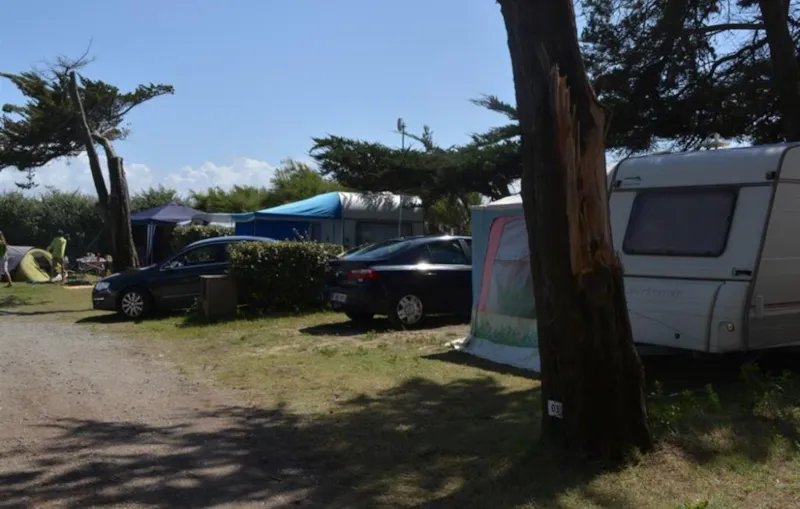 Membre Acsi - Tarif Acsi Hors Saison / 1 Chien Inclus / Électricité 10A Incluse