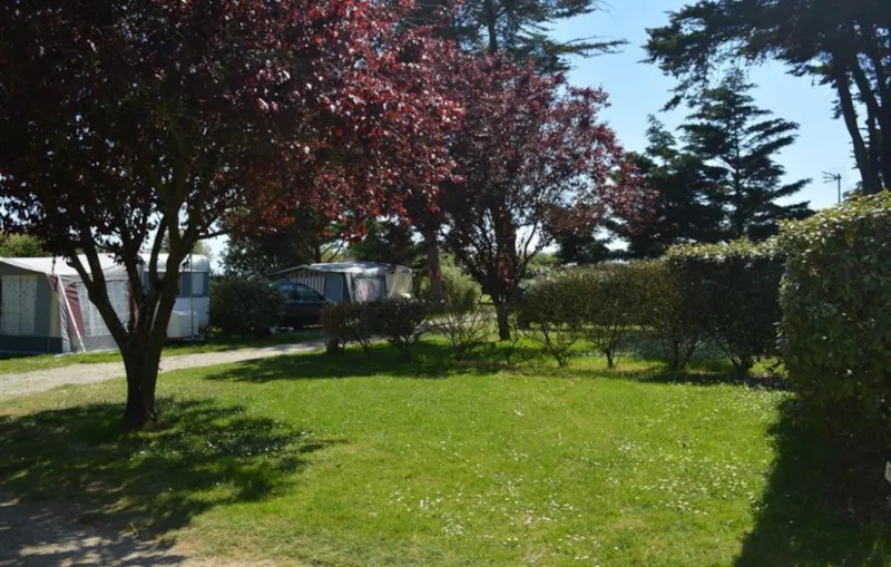 Membre Acsi - Tarif Acsi Hors Saison / 1 Chien Inclus / Électricité 10A Incluse