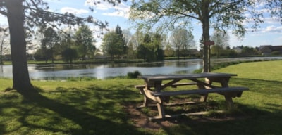 Villa Cottage in Loire Valley - Camping Le Cardinal