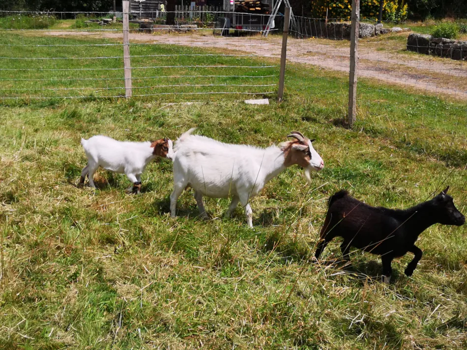 Domaine Du Scorff