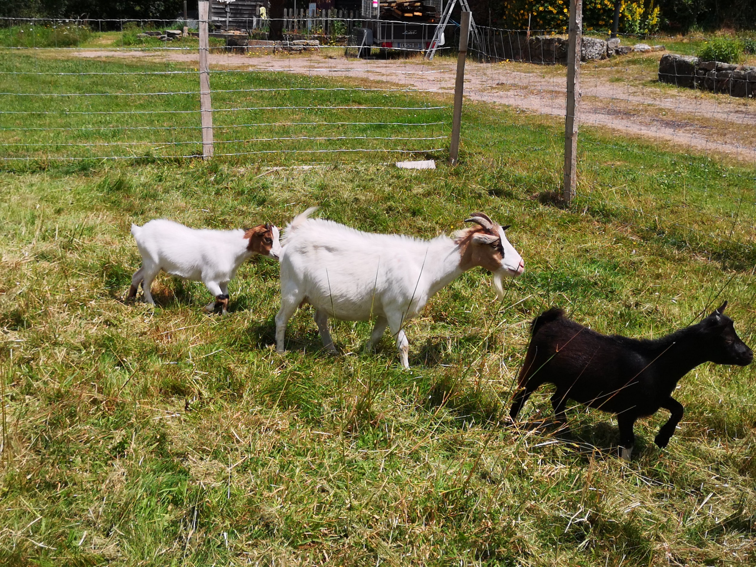 Domaine Du Scorff — Photo 9