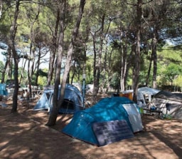 Plads(er) - Standplads Tippy - Camping Village Baia San Nicola