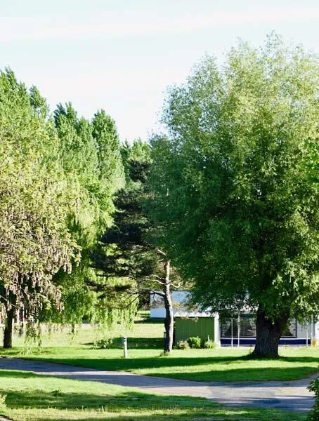 Camping l'Ile d'Amour