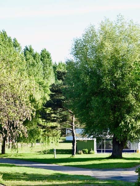 Camping l'Ile d'Amour — Photo 3