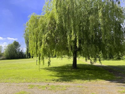 Camping l'Ile d'Amour