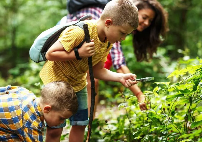 Camping l'Ile d'Amour