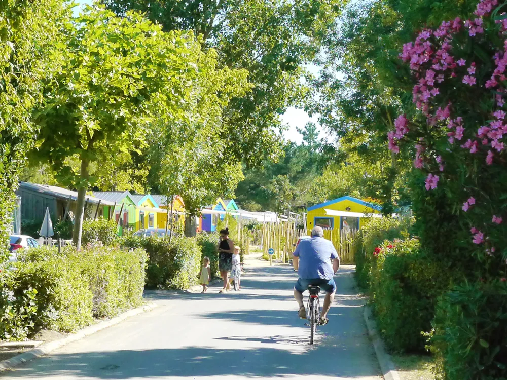 Clico Chic - Camping Les Cabanes d'Oléron