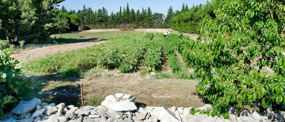 Agriturismo Malapezza