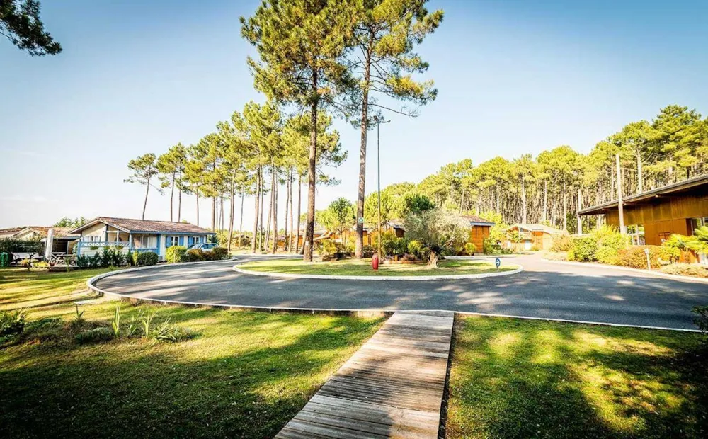 Village les Pins d'Or - image n°3 - Camping Direct