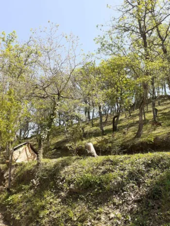 Mietunterkunft - Zelt Bivouac - Camping Le Colorado