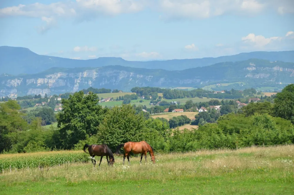 Le Coin Tranquille C'est Si Bon