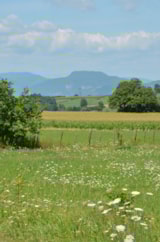 Foto #64 van Le Coin Tranquille C’est Si Bon