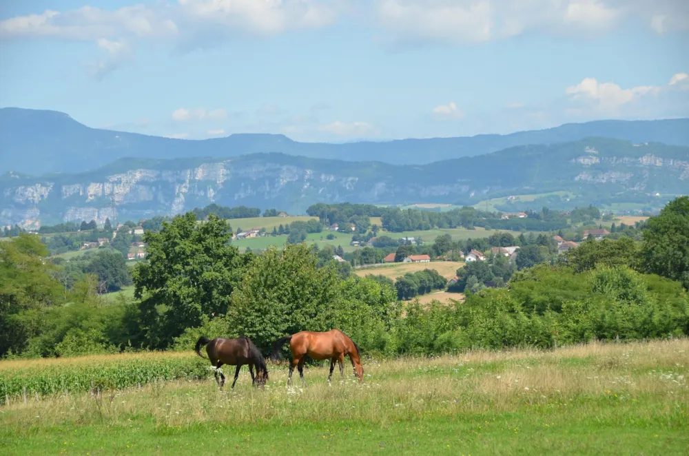 Le Coin Tranquille C'est Si Bon