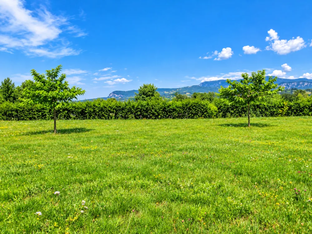 Pitch - Xxl Pitch, 200 M², 16 Amps (Sunny And Slightly Sloped) - Le Coin Tranquille C'est Si Bon
