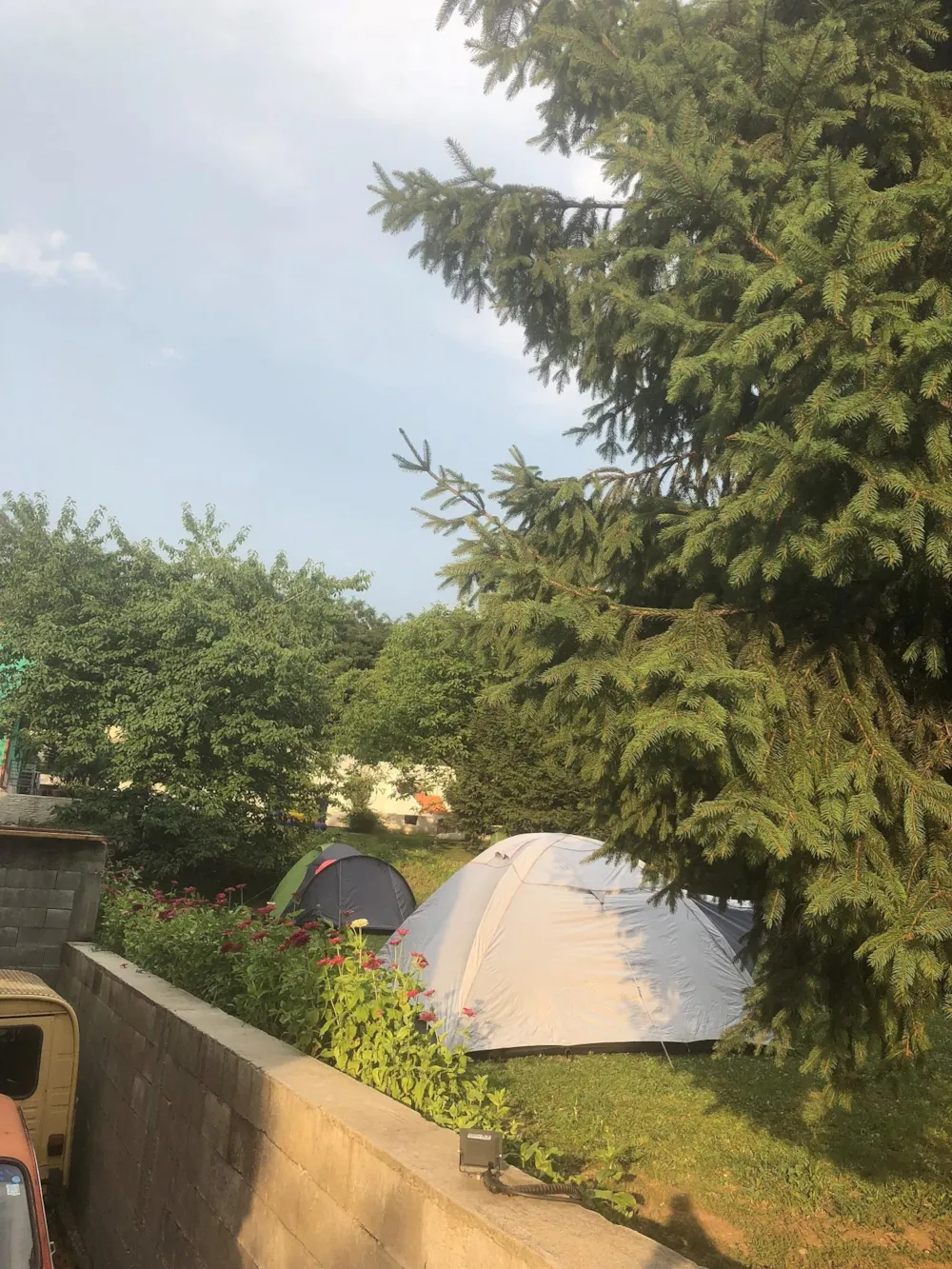 Pitch - Pitch Tent - Camping Robinson Country