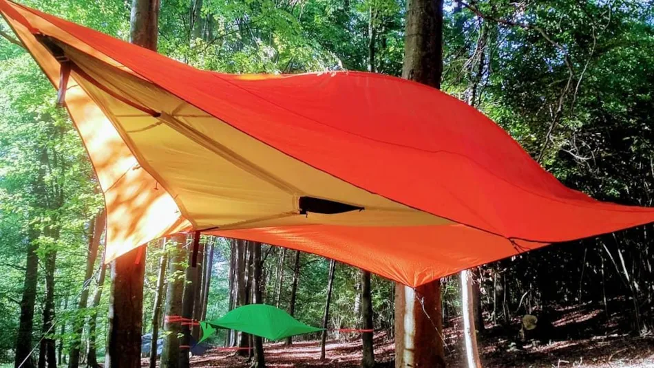 Future Is Nature Playground