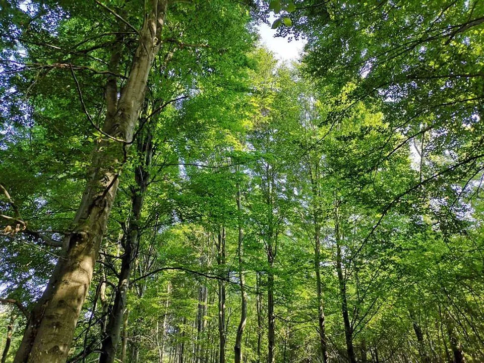 Future Is Nature Playground