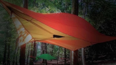 Tree tent — 1
