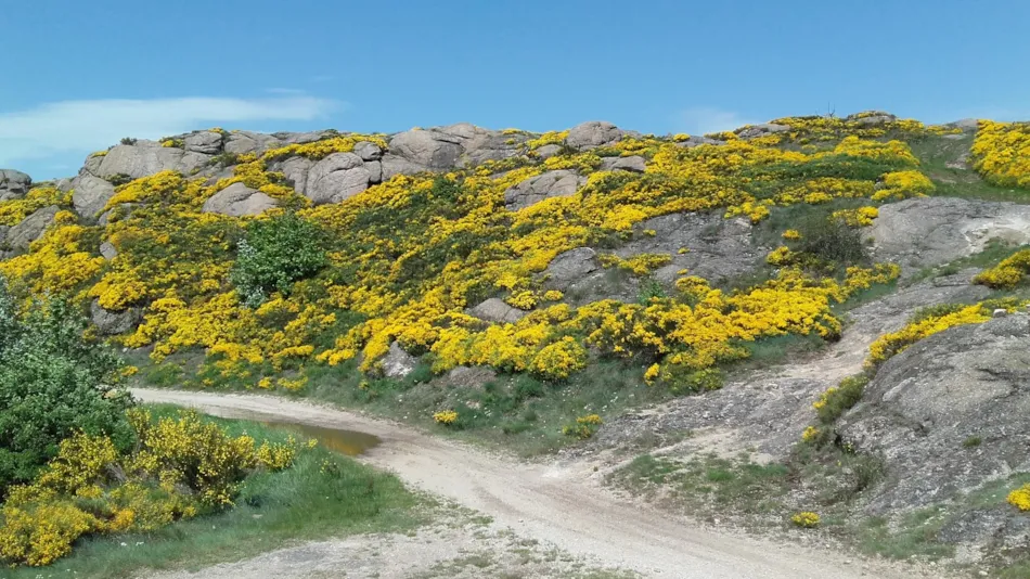 Camping Les Eaux Vives