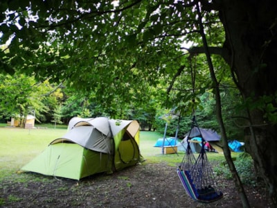 Pitch Tent