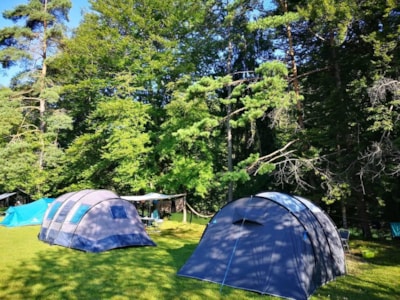 Pitch Tent