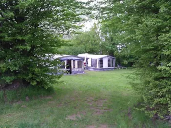 Pitch - Pitch Tg 31 - Eidertal Camping