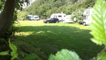Pitch - Pitch Tg 29 - Eidertal Camping