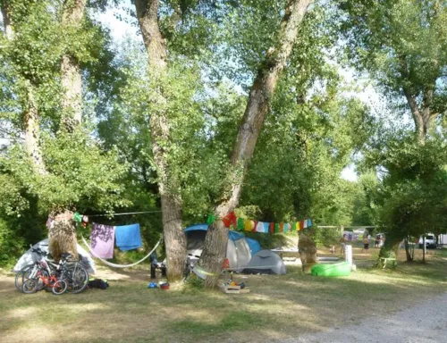 Pitch - Pitch With Electricity - image n°5 - Camping Municipal Justin