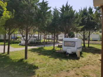 Stellplatz - Stellplatz - Camping Borepo