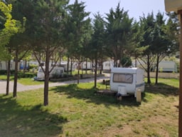 Kampeerplaats(en) - Standplaats - Camping Borepo