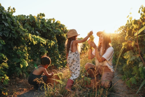 Foto #1 van Camping Borepo