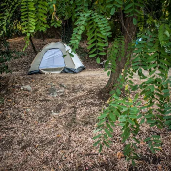 Stellplatz - Stellplatz Zelt - Opatija Camping