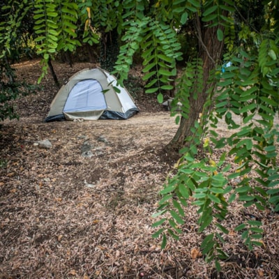 Tent lot