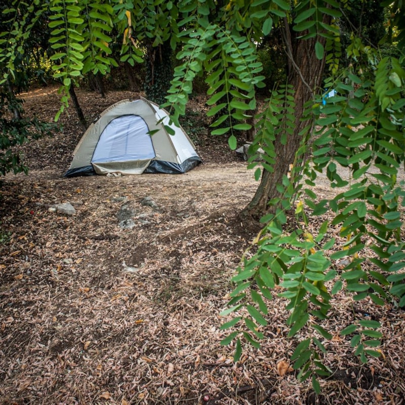 Tent lot