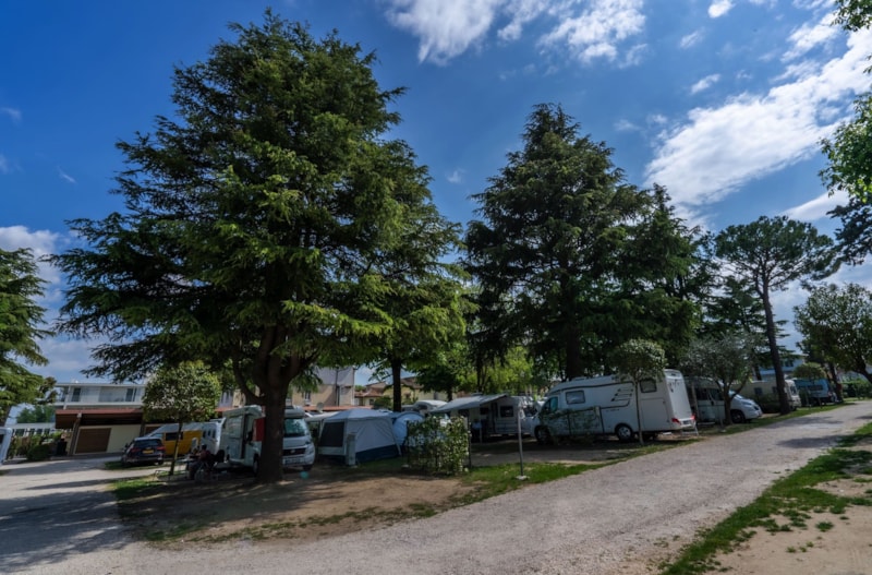 PIAZZOLA COMFORT