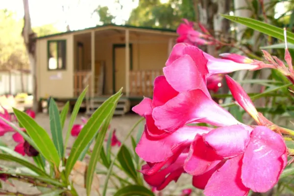 Camping Iscrixedda