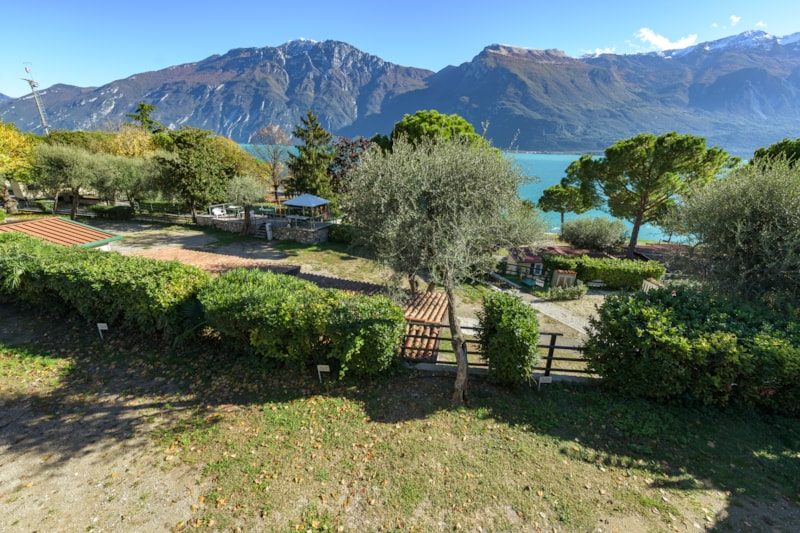 Standplaats Standard