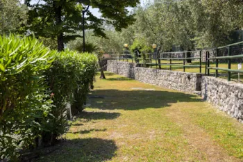Stellplatz - Standard Stellplatz Canadese - Camping Park Garda