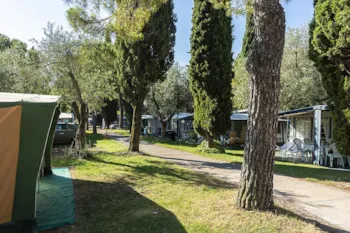 Stellplatz - Stellplatz Am See - Camping Toscolano