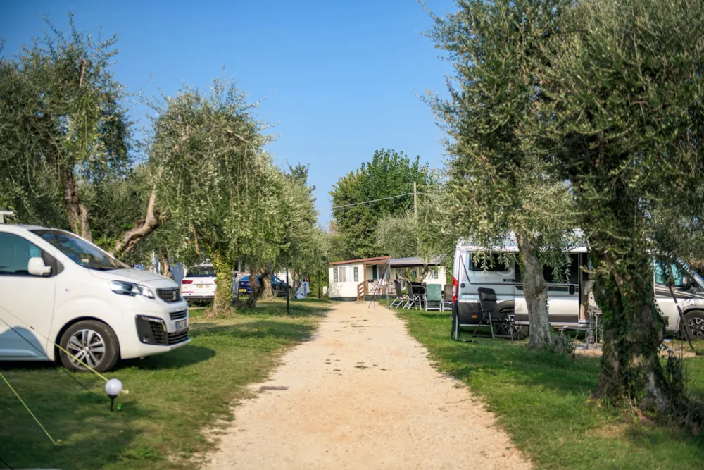 Emplacement - Emplacement Comfort - Camping Toscolano