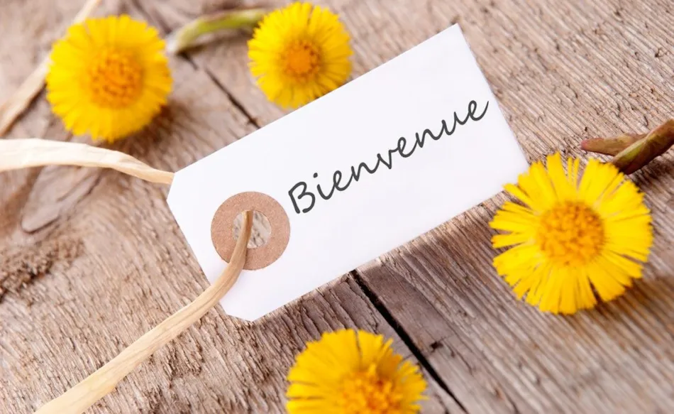 Camping le Sous Bois - Emplacements