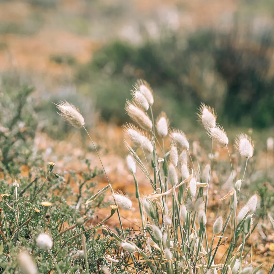 Camping le Sous Bois - Emplacements