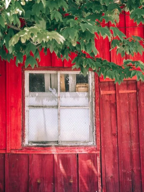 Camping le Sous Bois - Emplacements