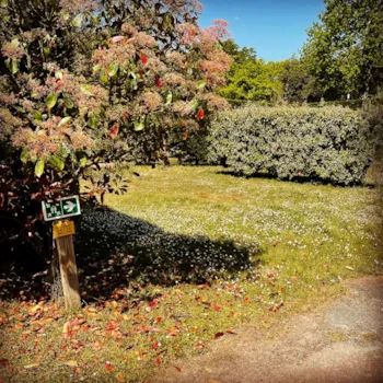 Kampeerplaats(en) - Standplaats +80M² - Camping le Sous Bois - Emplacements