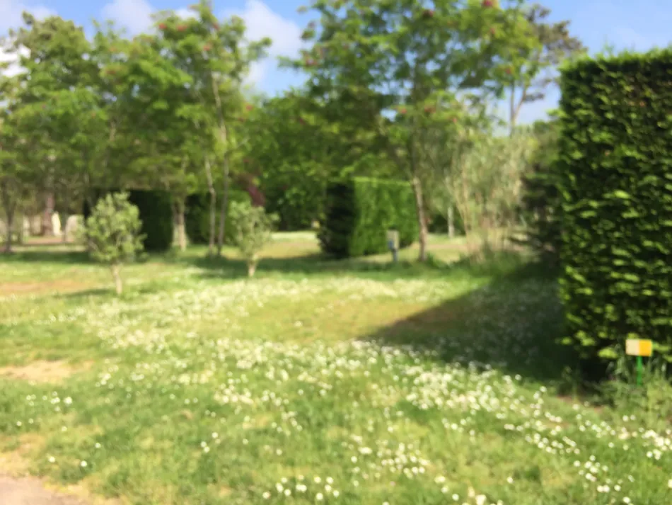 Camping le Sous Bois - Emplacements