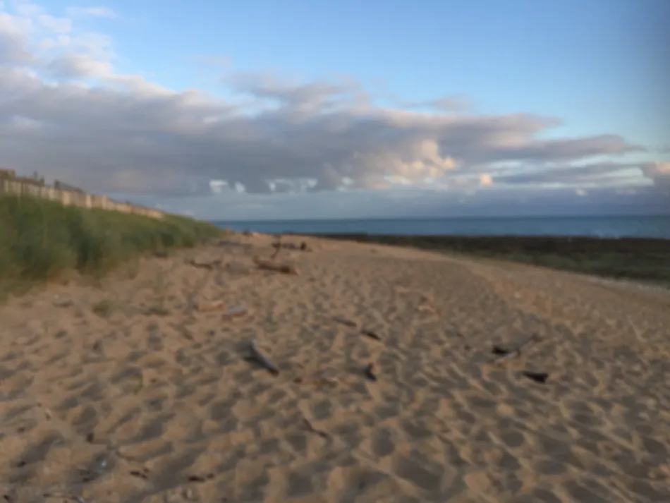 Camping le Sous Bois - Emplacements